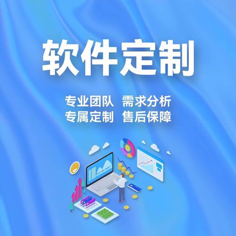 上海软件开发：引领数字化转型的风向标